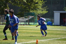 img0017.jpg