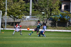 img0020.jpg