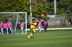 img0033.jpg