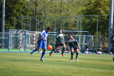 img0045.jpg
