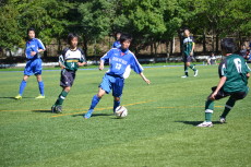 img0050.jpg