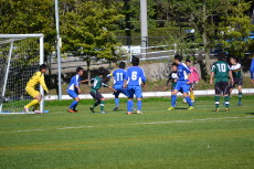 img0055.jpg