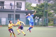 img0010.jpg