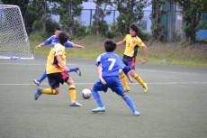 img0070.jpg