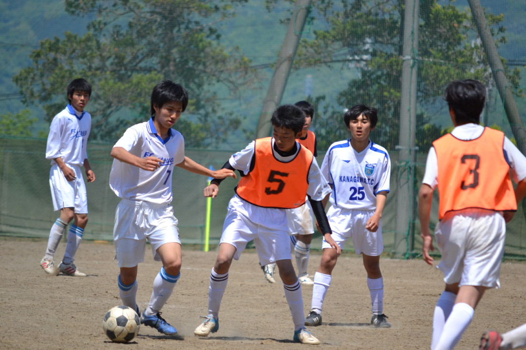 img0054.jpg