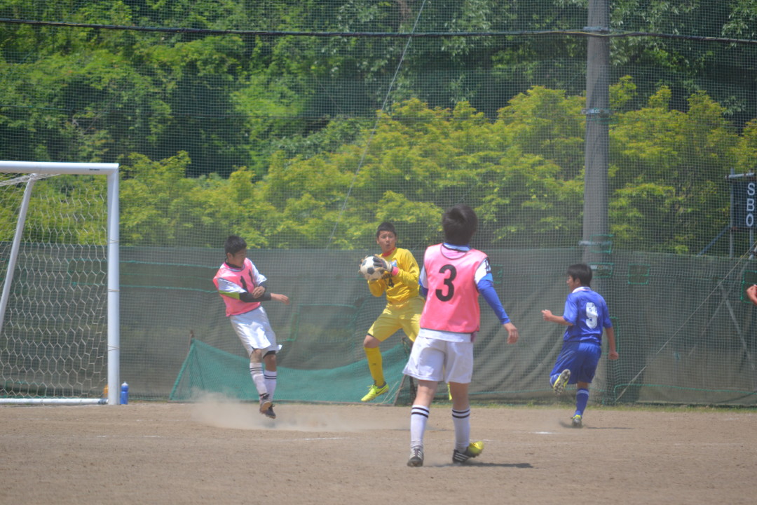 img0073.jpg
