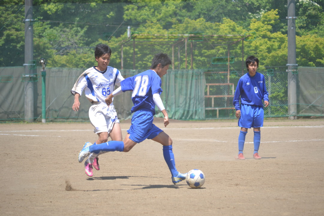 img0013.jpg