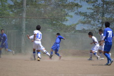 img0037.jpg