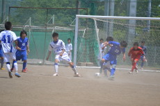img0113.jpg
