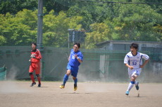 img0129.jpg