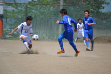 img0137.jpg