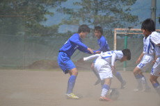 img0183.jpg