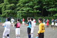 img0008.jpg