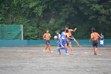 img0019.jpg