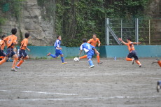 img0031.jpg