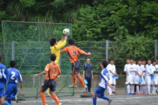 img0036.jpg