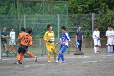 img0037.jpg