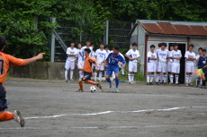 img0041.jpg