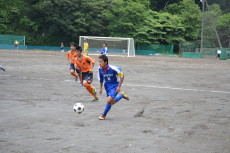 img0045.jpg