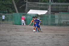 img0106.jpg