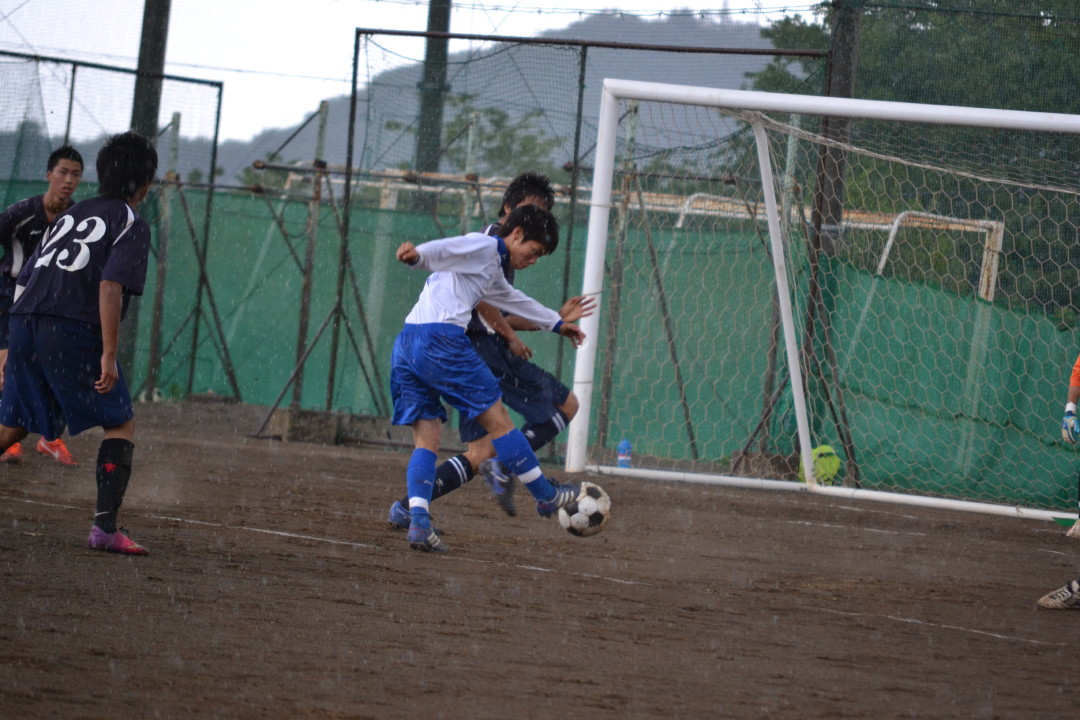 img0050.jpg