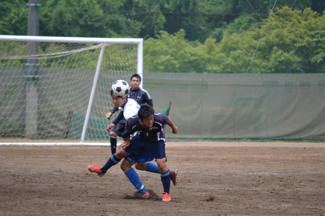 img0095.jpg