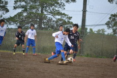 img0047.jpg