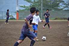 img0087.jpg