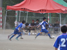 img0019.jpg