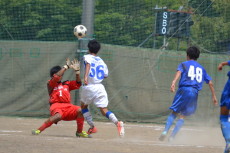 img0037.jpg