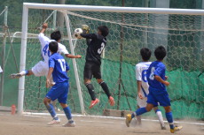 img0113.jpg