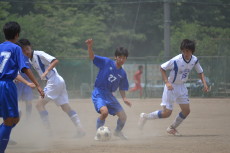 img0151.jpg