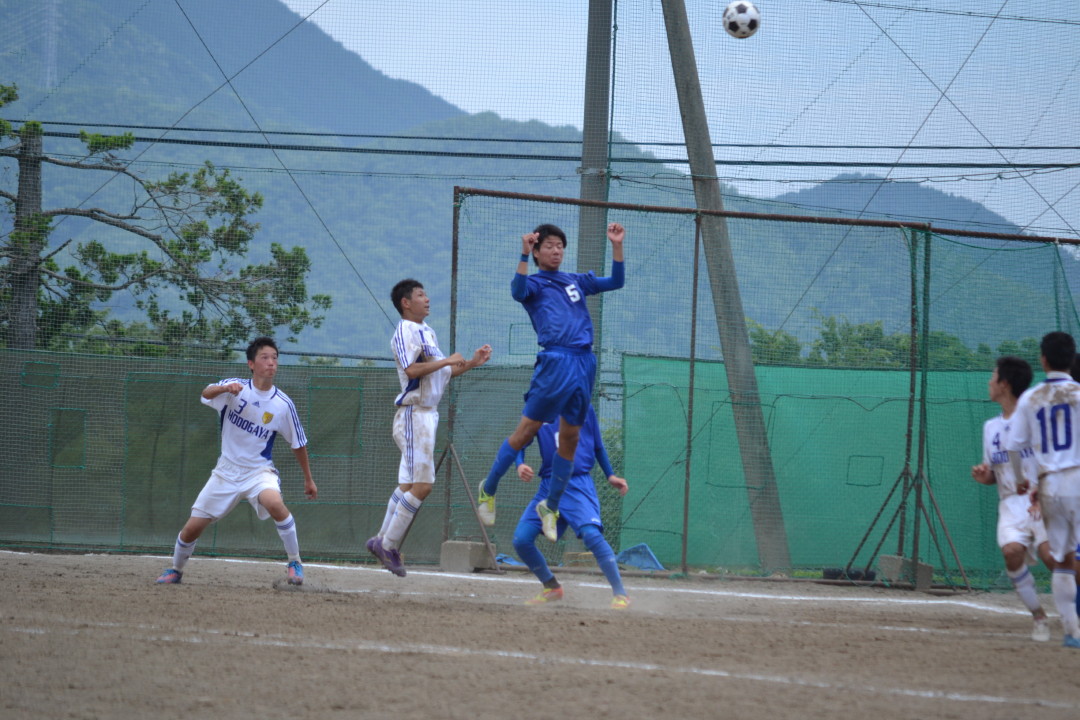 img0049.jpg