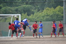 img0020.jpg