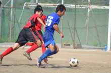 img0041.jpg