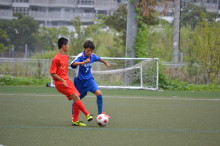 img0010.jpg