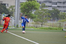 img0011.jpg
