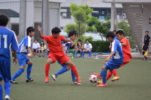 img0016.jpg