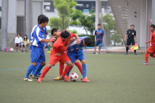 img0017.jpg