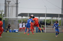 img0019.jpg