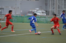 img0081.jpg