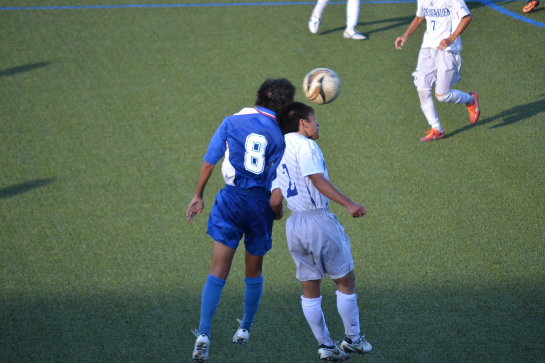 img0088.jpg